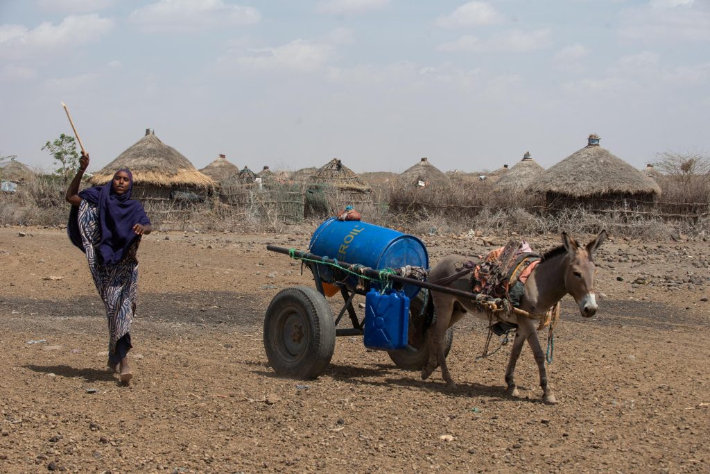 20260218T1538 EAST AFRICA DROUGHT LENT 1813548