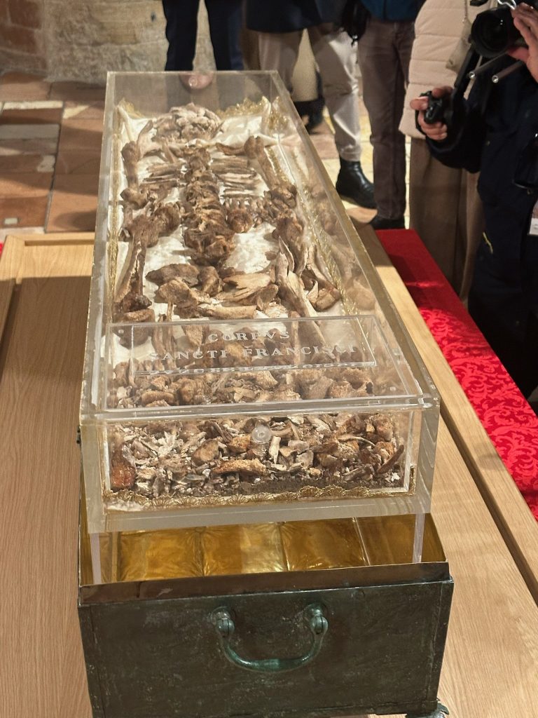 20260222T1608 ST FRANCIS RELICS VENERATION ASSISI 1813858