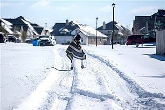 68763_t600