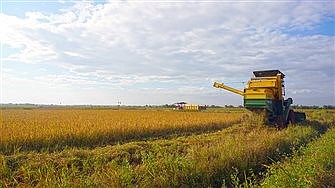 71724_t600