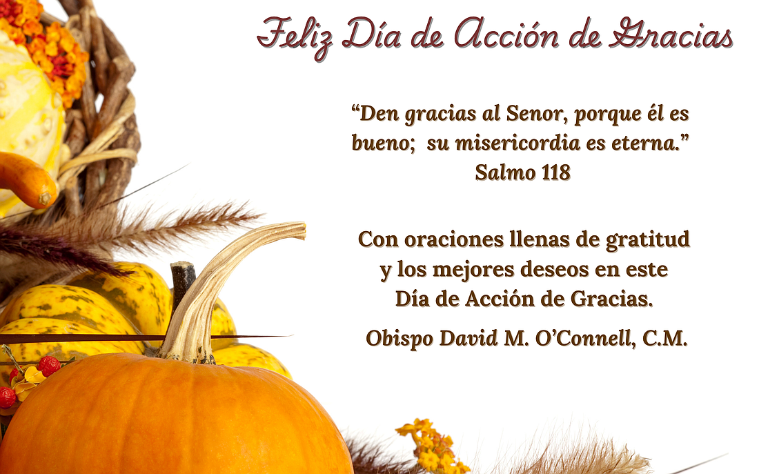 SPANISH _Thanksgiving_graphic_t1100
