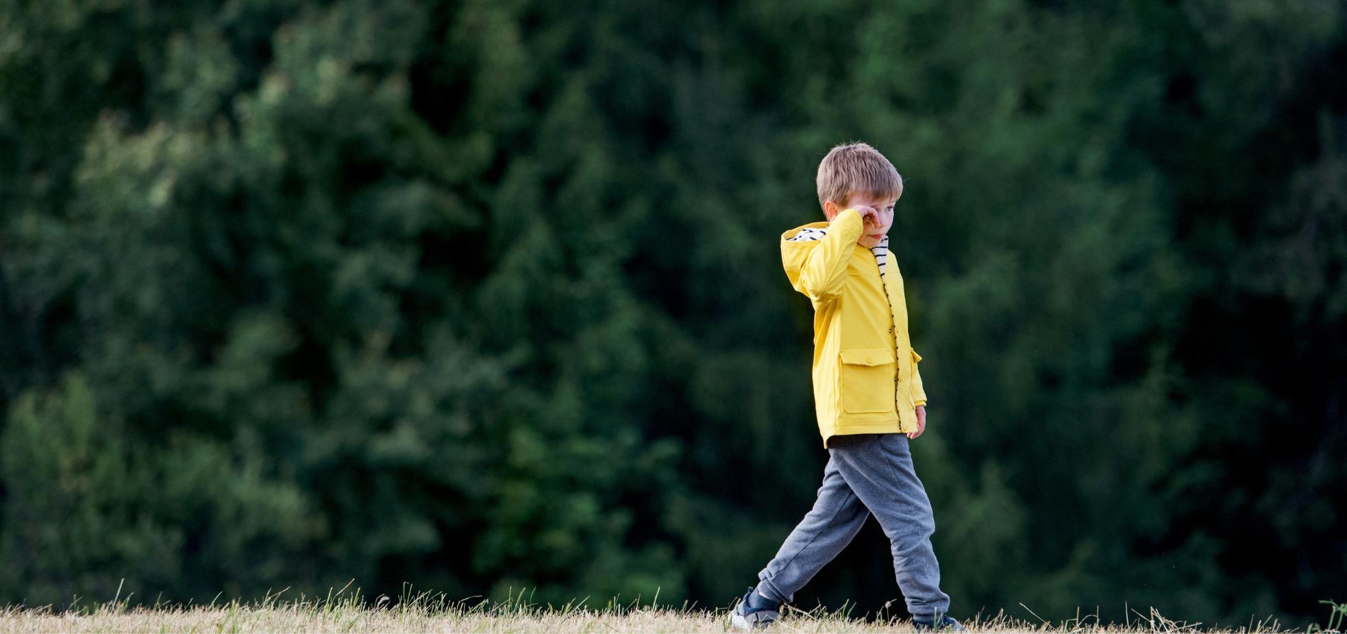 Word press featured image 100