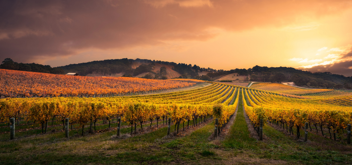 Word press featured image 2026 04 21T134903.263